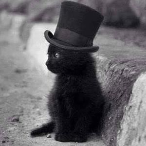 Meet your Posher, Mona